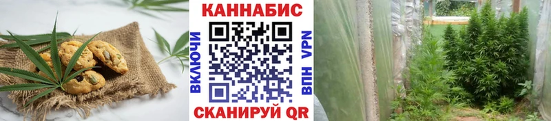 Cannafood марихуана купить наркоту Венёв