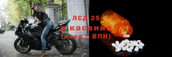 ECSTASY Бородино