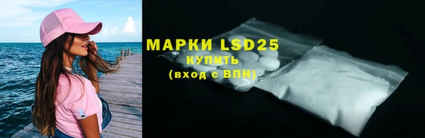 ECSTASY Бородино