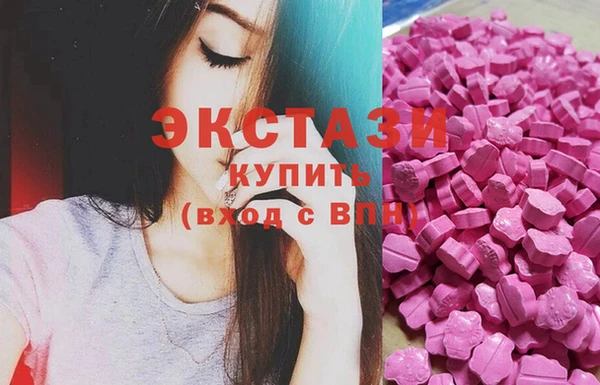 ECSTASY Бородино