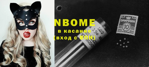 ECSTASY Бородино