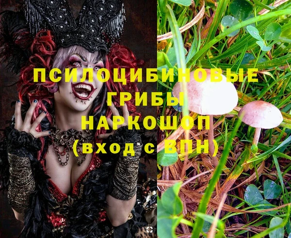 прущие крисы Бронницы