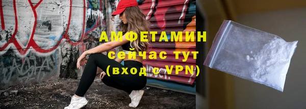 ECSTASY Бородино