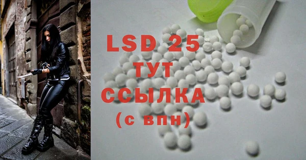 ECSTASY Бородино