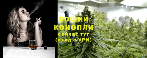 ECSTASY Бородино