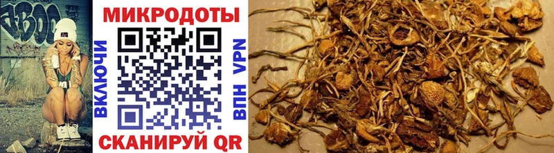 mega tor  Венёв  shop телеграм  Псилоцибиновые грибы мухоморы 